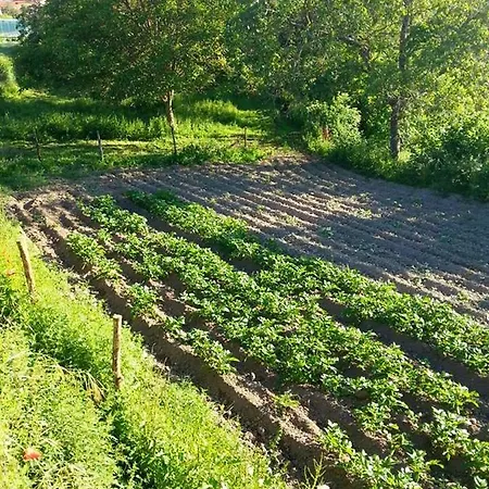 Feriehus 6 Bedrooms House With Private Pool Enclosed Garden And Wifi At